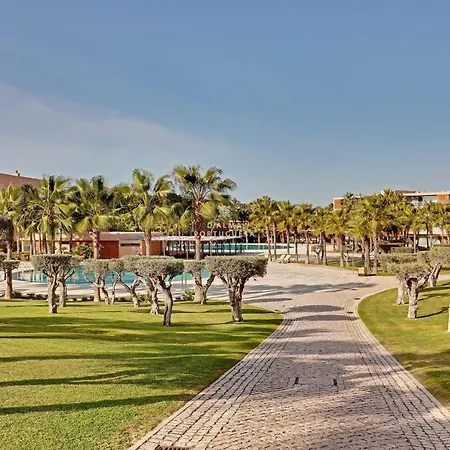 Coco Design Salgados - By Dalma Portuguesa 阿尔布费拉